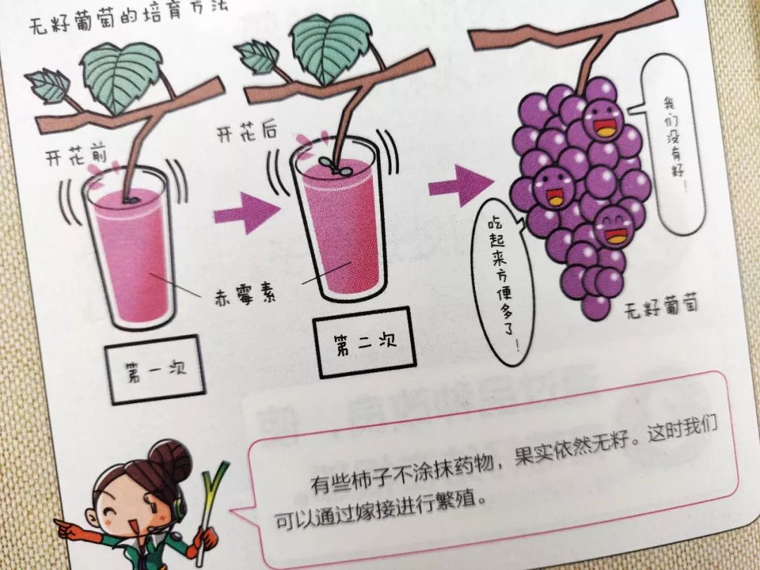 返团 | 19年拿下19个诺贝尔奖,日本的小学生都在看什么?