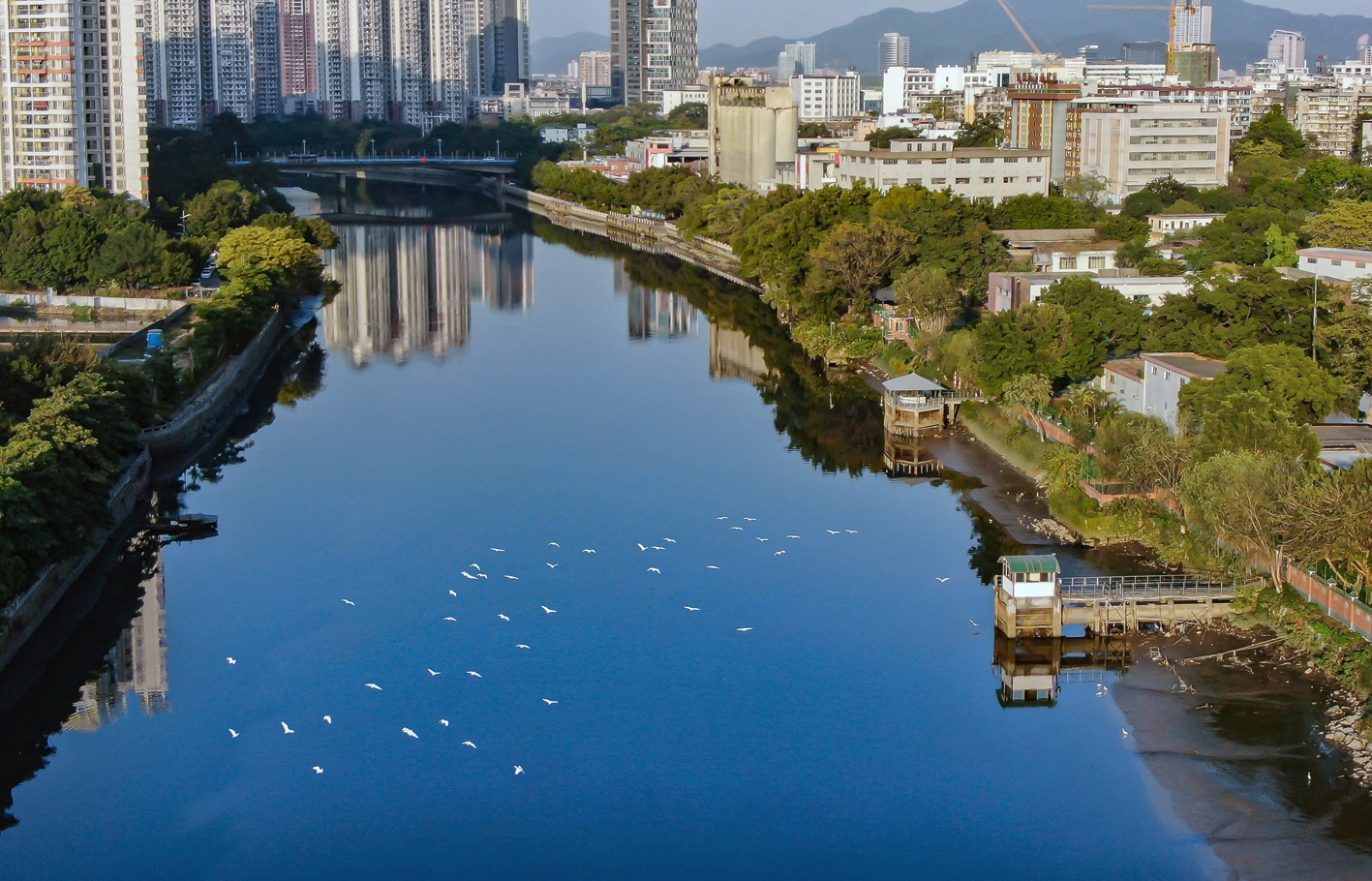 广州拟建设1-2个水岸公园,海珠,天河,越秀等地建碧道示范段