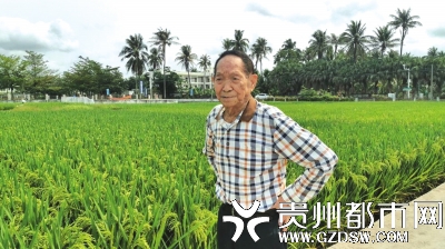 袁隆平称中国不会出现“粮荒”