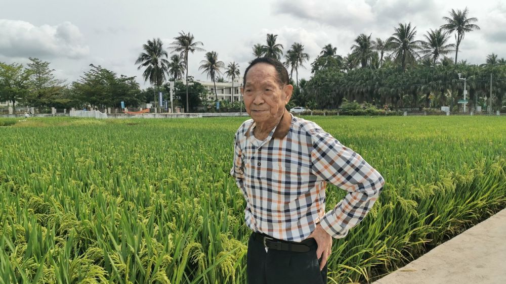 袁隆平:中国不会出现“粮荒” 完全能够自给自足