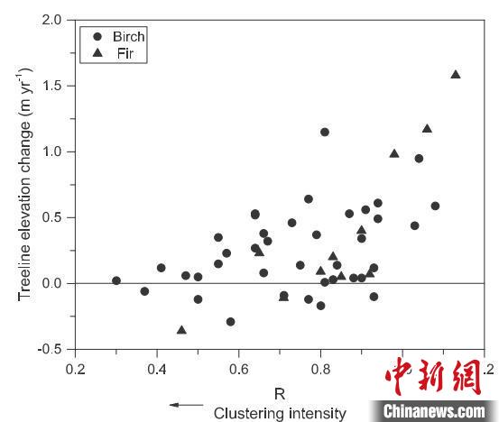  集群强度（clustering intensity值越小，强度越大）与树线上升速率的关系。 科研团队 供图