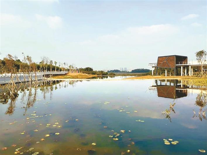 松岗五指耙公园开门迎客
