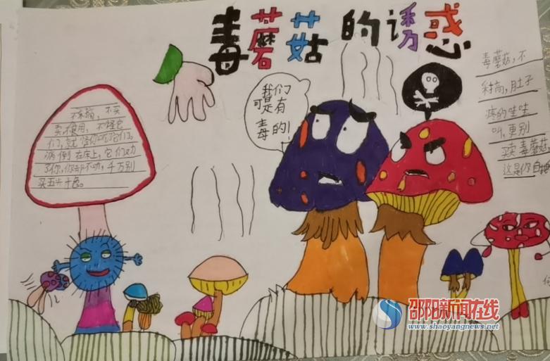 双清区龙须塘小学开展"珍爱生命,拒绝毒蘑菇"教育宣传