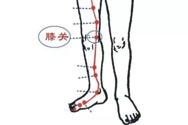 经常按摩膝关穴和梁丘穴,疼痛积液明显改善