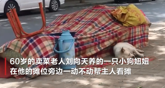 悬赏200000元!辽宁发生重大刑事案件,知情速报|新闻日志