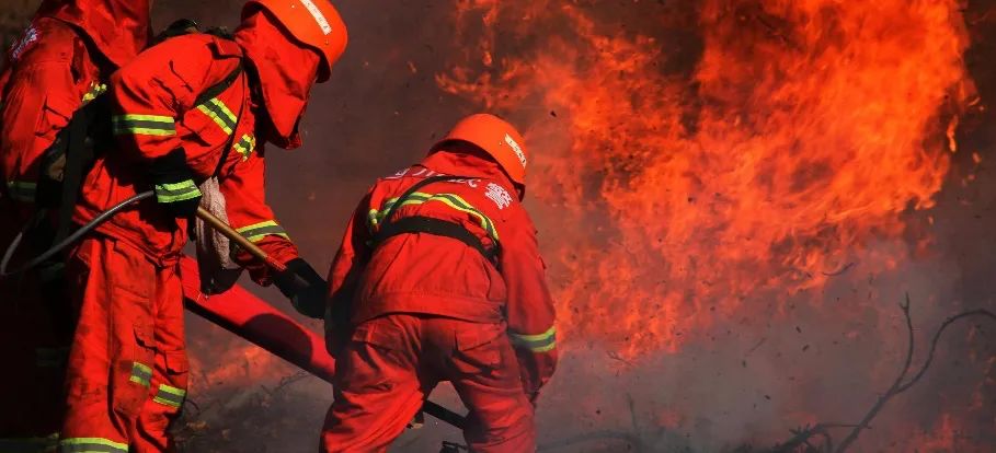 四川凉山去年山火善款尚未落实 今年筹款情况又