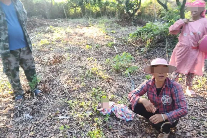 乐东一新生女婴被弃野外,警方介入后,疑似亲生母亲现身......
