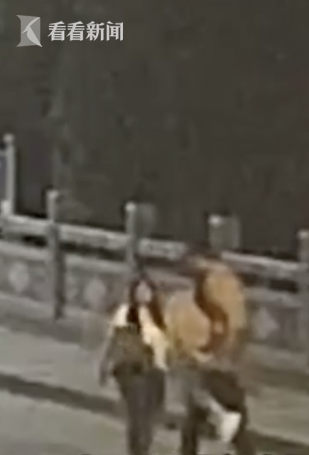 男子5次跨上桥栏要跳河 过路司机一个动作燃爆了