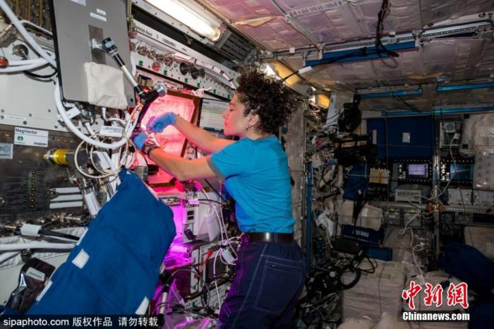 BBC：疫情下隔离独处太难熬？NASA专家来支招