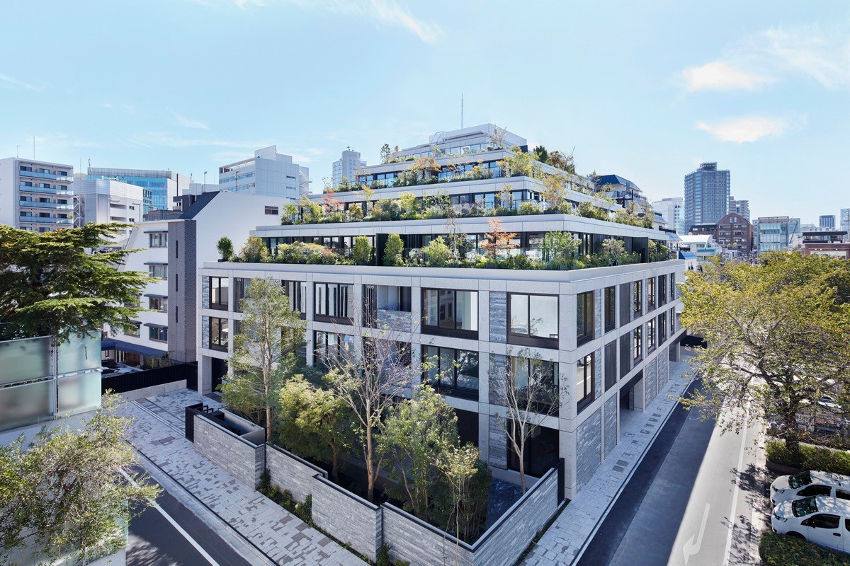 挺拔的青松——北青山混凝土退台公寓 / conran and partners|建筑