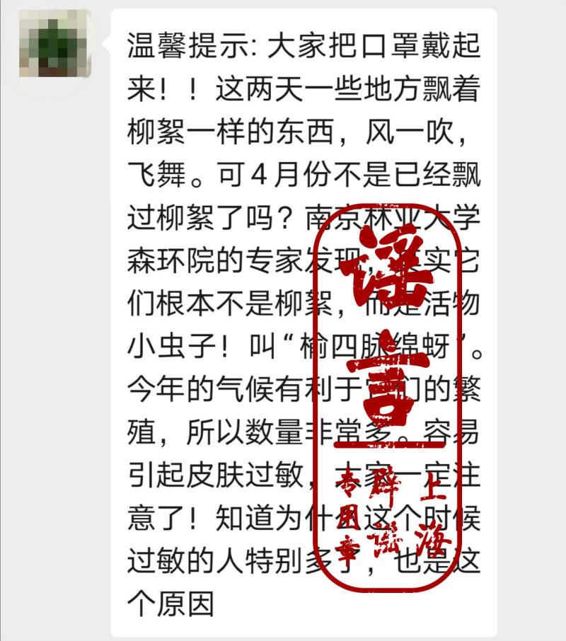 5月飞絮含蚜虫致呼吸道感染?专家:对人体无害
