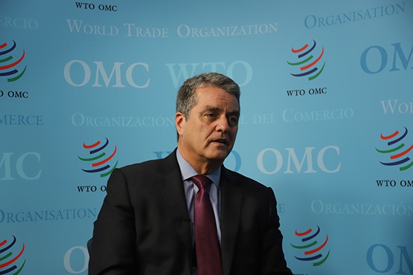 WTO总干事提前一年离任 只因“个人决定”？