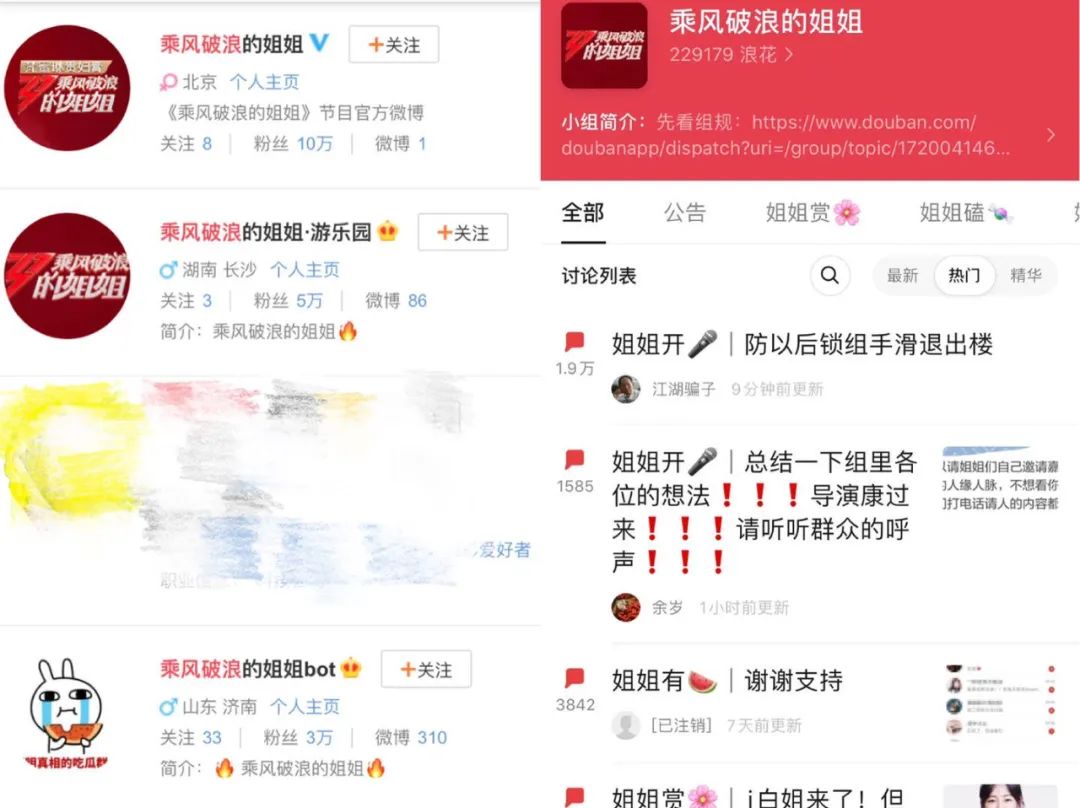 当她们“引爆”《乘风破浪的姐姐》时,他们在期待什么?