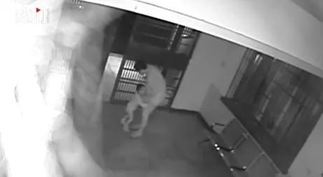 叔叔小男孩外婆说她平常会带外孙来派出所"和警察叔叔比较熟"而且她也