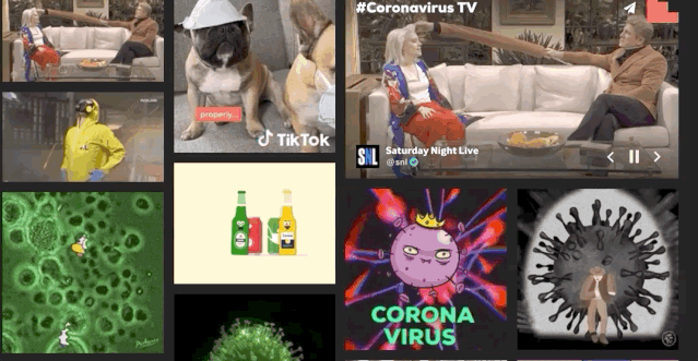 giphy是一个动图搜索引擎,网友可以用关键词搜索想要的动图.