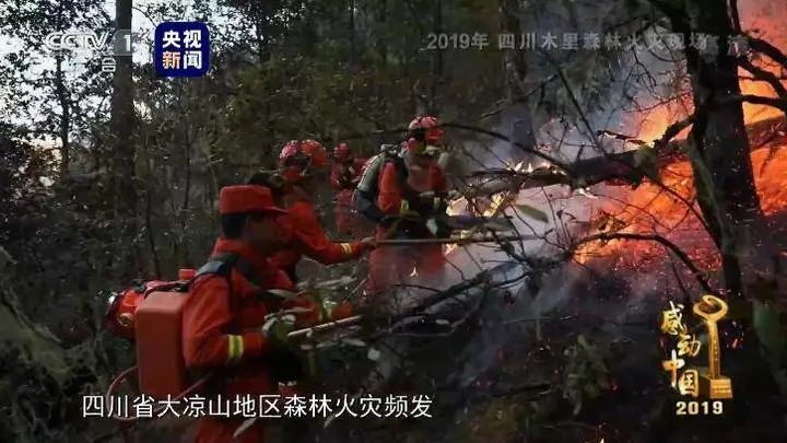 致敬!五位山东籍扑火烈士当选感动中国2019年度人物