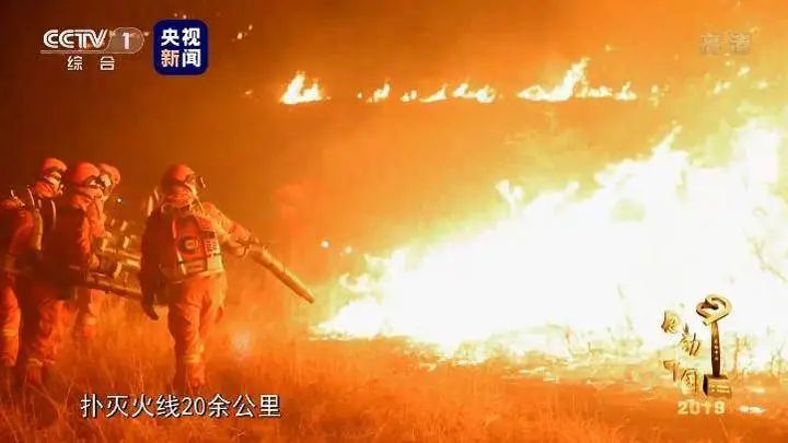 致敬!五位山东籍扑火烈士当选感动中国2019年度人物