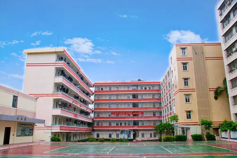 广东已有8校公布2020教师专项招生计划,考上免费读,毕业就安排工作