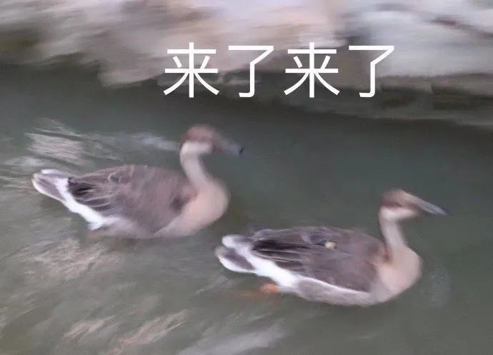 陈思诚刘昊然王宝强合作新片;诺兰《蝙蝠侠》三部曲香港重映