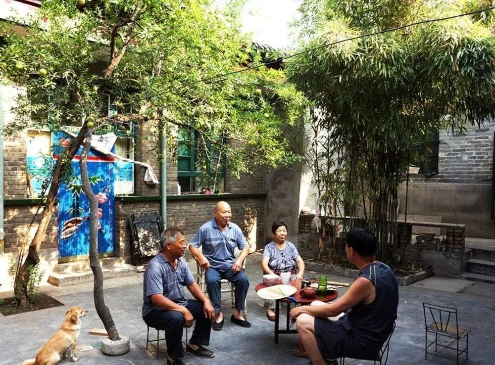 老了,找几个志同道合的知己建个院子,“同居式”养老,太美了!