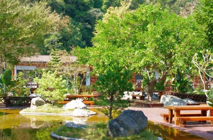 老了,找几个志同道合的知己建个院子,“同居式”养老,太美了!