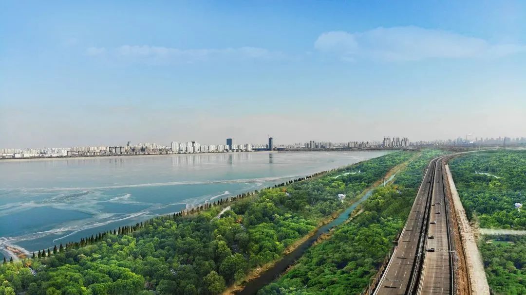 东营城市格局变迁,植物园板块东科教片区成为新焦点