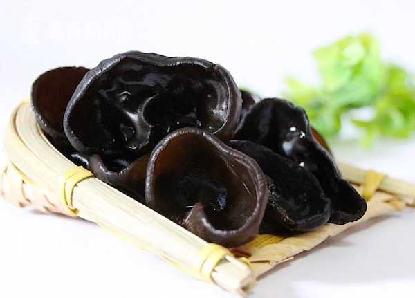 女子吃隔夜木耳后中毒身亡 这样的错千万别再犯