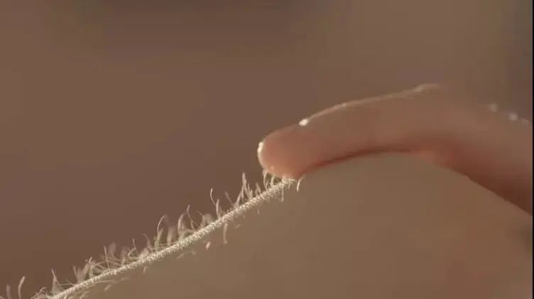 五月不脱毛,六月猕猴桃,该跟小胡子和腋毛说拜拜啦~