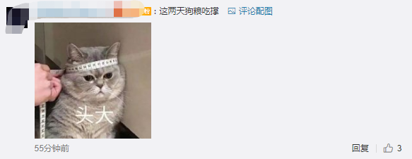 被拍多次从未回应,他俩这是直接一步到位了??