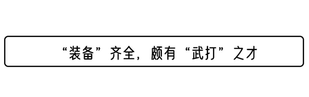 车界中的“全能武生”，有了它，还要啥宝马操控王？