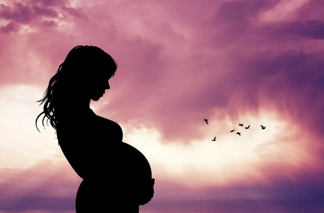单身女性的生育权,是不是一个伪命题 | 最热提案