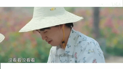 好嫁风郭麒麟
