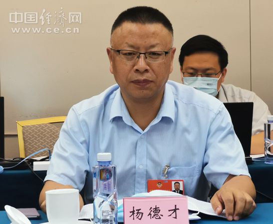 全國政協委員、致公黨中央經濟委員會副主任、南京大學經濟學系主任楊德才