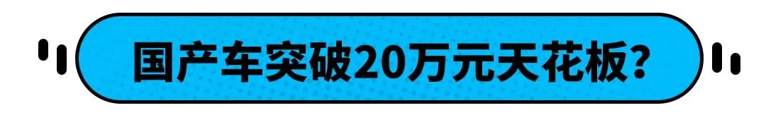 同样花20万，买国产车是真傻还是有眼光？