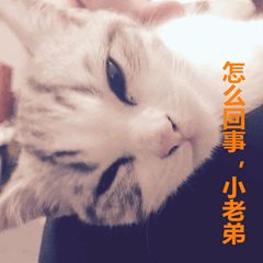 均价5.2w！今月份粤B指标竞价结果出炉！