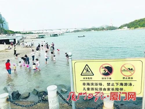 ▲海沧大道海角9号一带海域虽然立着警示牌,仍有不少人下水玩耍。