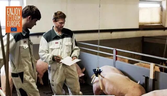 欧盟对中国出口激增 德媒：中国正在帮助欧盟