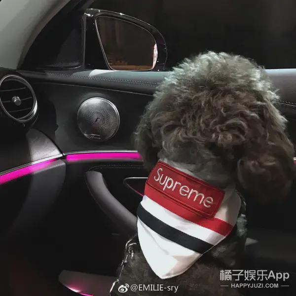 《创3》陈卓璇后又一人出圈?女版黄子韬P图照公开!美得不敢认