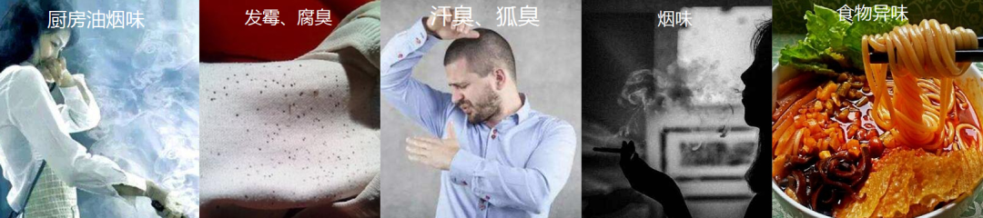 用它洗衣服=把一整个玫瑰园穿身上!还省下柔顺剂、抑菌液的钱,婆婆都夸我机灵!
