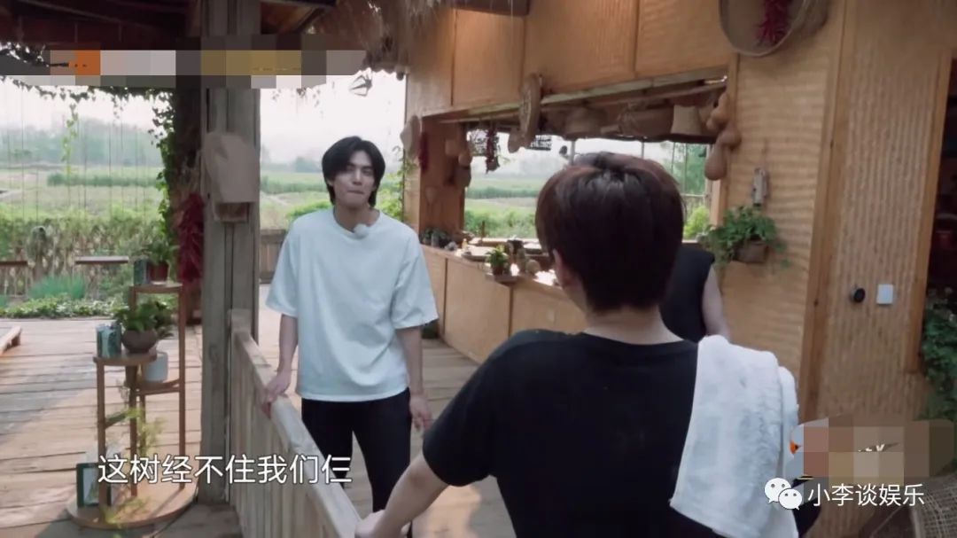 《向往4》宋威龙太勤快,想摘椰子被拒,缠着彭彭捞河蚌闲不下来