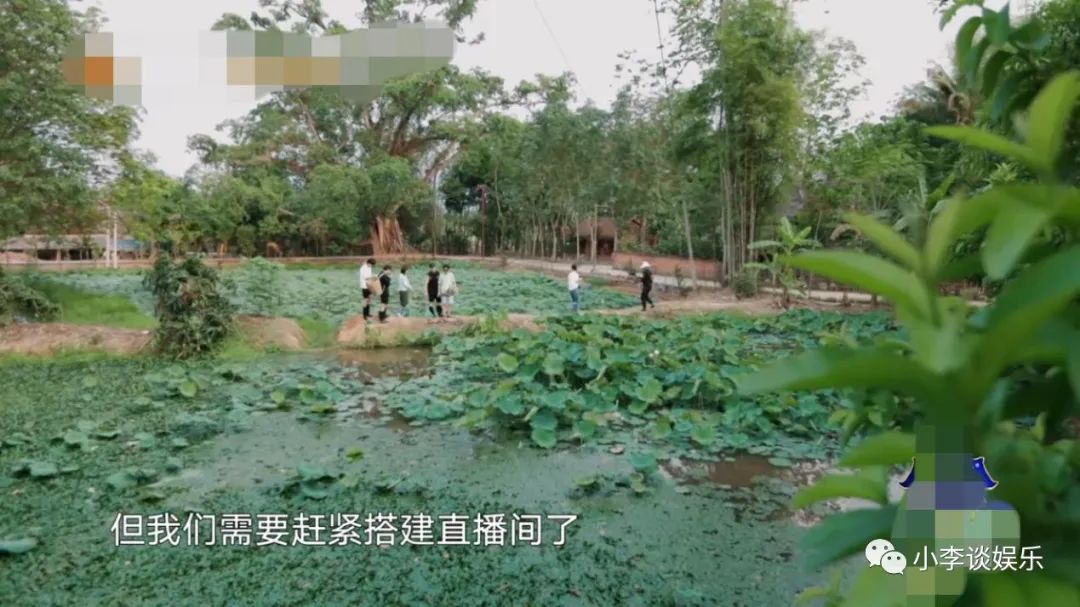 《向往4》宋威龙太勤快,想摘椰子被拒,缠着彭彭捞河蚌闲不下来