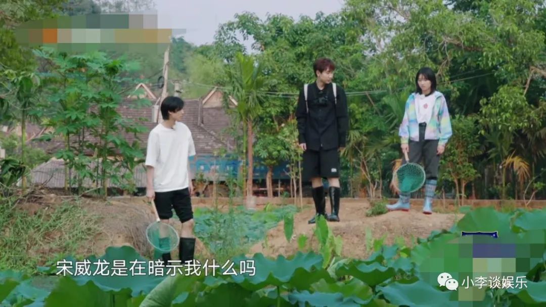 《向往4》宋威龙太勤快,想摘椰子被拒,缠着彭彭捞河蚌闲不下来