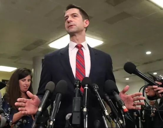 汤姆·科顿资料图