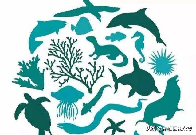 公民科学素质提升专题|没有疾病就等于健康吗?