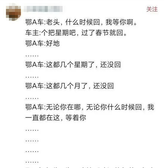 鄂A牌车在河南停4个月被写满祝福:等你归来!