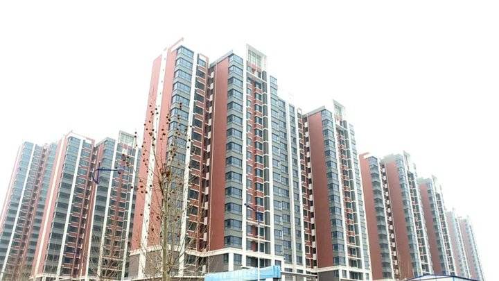 德州运河经济开发区:做好民生保障 坚定战“疫”信心