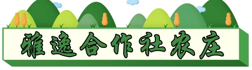 【速看】澄海这家农庄,去过真的会上瘾啊!