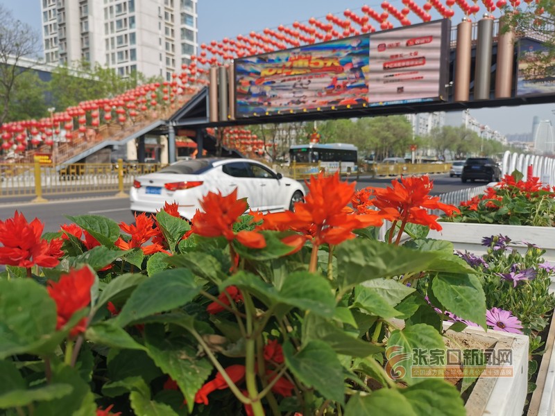 石家庄桥东区区人口_石家庄火车站图片