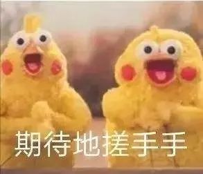 城事丨8只!8只!8只大熊猫安家湖南凤凰!年底长沙也能看到,你准备怎样迎接国宝?