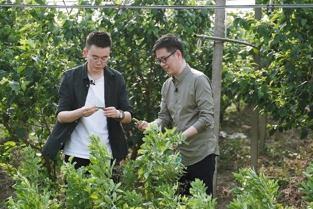 文化探索类真人纪实节目《24节气生活》本季收官之作 夏至日是馈赠是向阳而生